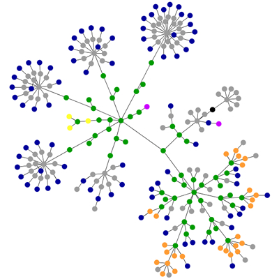 enrii.blog structure